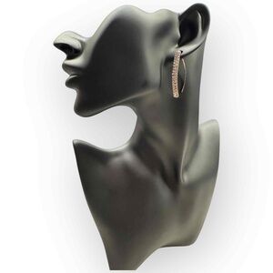 NWT Rhinestone Hanging Earrings from Express.